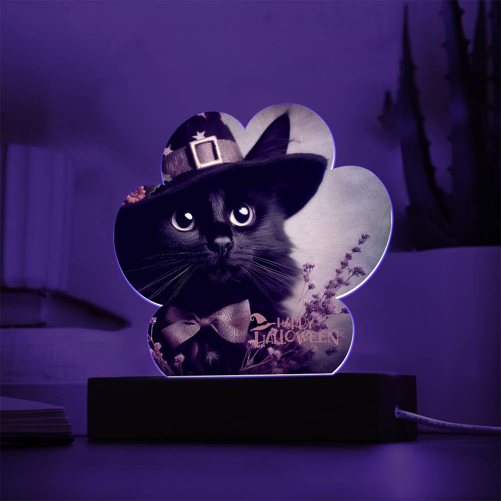 Happy Halloween Black Cat in Witch's Hat Acrylic Halloween  / Night Light